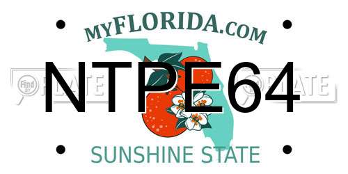 NTPE64 Florida License Plate