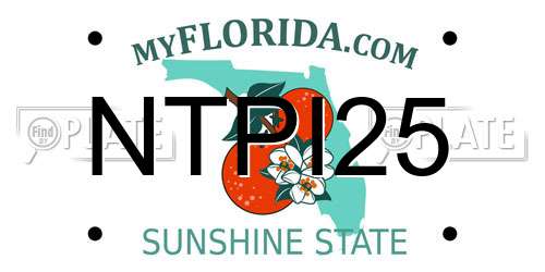 NTPI25 Florida License Plate