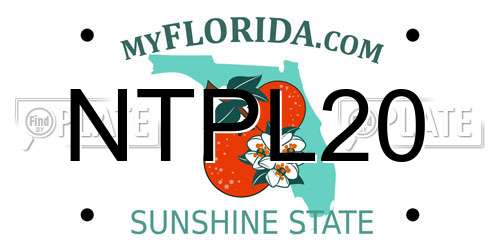 NTPL20 Florida License Plate