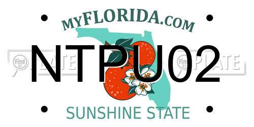 NTPU02 Florida License Plate