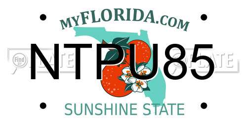 NTPU85 Florida License Plate