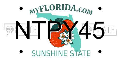 NTPY45 Florida License Plate