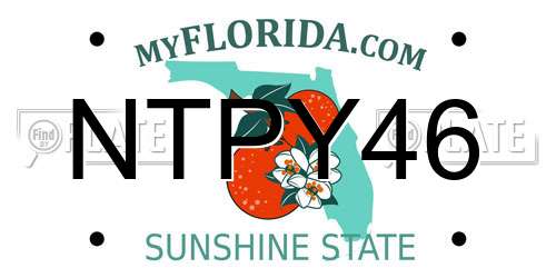 NTPY46 Florida License Plate