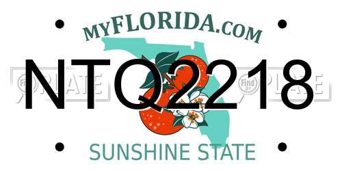 NTQ2218 Florida License Plate