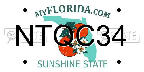 NTQC34 Florida License Plate