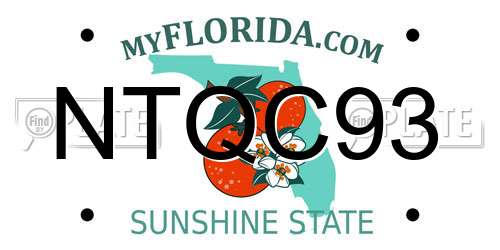 NTQC93 Florida License Plate
