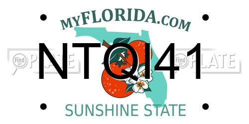 NTQI41 Florida License Plate