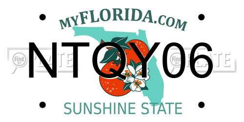 NTQY06 Florida License Plate
