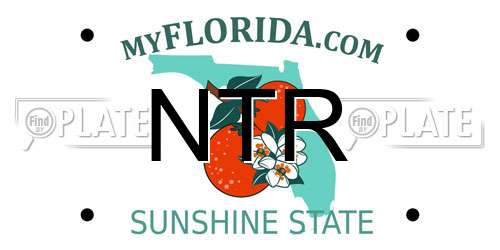 NTR Florida License Plate