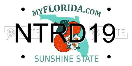 NTRD19 Florida License Plate