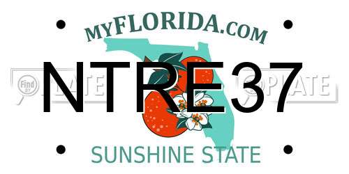 NTRE37 Florida License Plate
