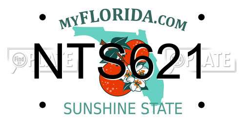 NTS621 Florida License Plate