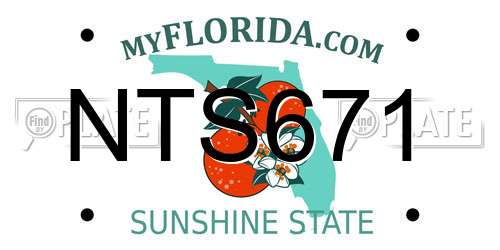 NTS671 Florida License Plate