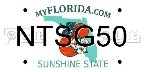 NTSG50 Florida License Plate