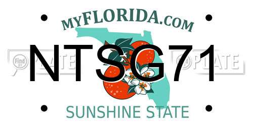 NTSG71 Florida License Plate