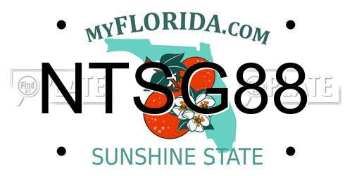 NTSG88 Florida License Plate