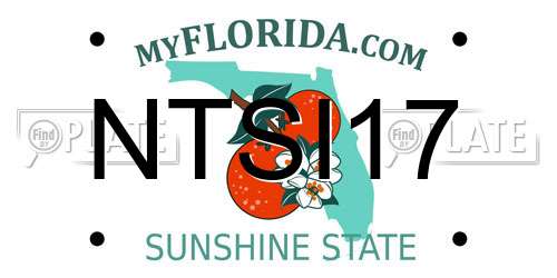NTSI17 Florida License Plate