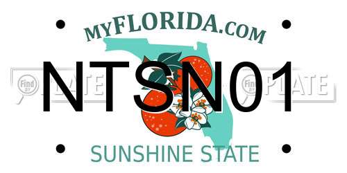 NTSN01 Florida License Plate