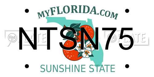 NTSN75 Florida License Plate