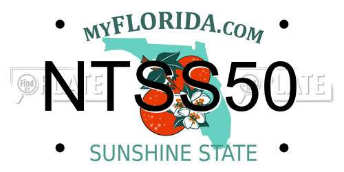NTSS50 Florida License Plate