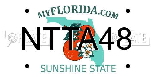 NTTA48 Florida License Plate