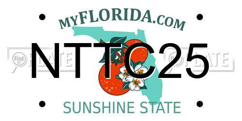 NTTC25 Florida License Plate