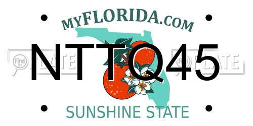 NTTQ45 Florida License Plate