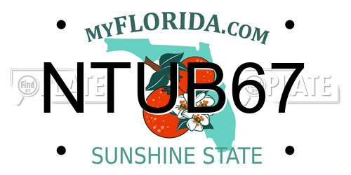 NTUB67 Florida License Plate