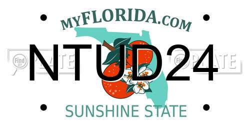 NTUD24 Florida License Plate