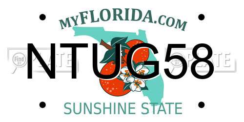 NTUG58 Florida License Plate