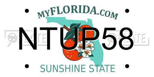 NTUP58 Florida License Plate