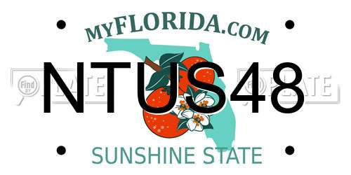 NTUS48 Florida License Plate