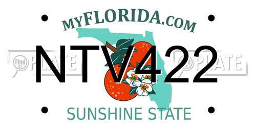 NTV422 Florida License Plate