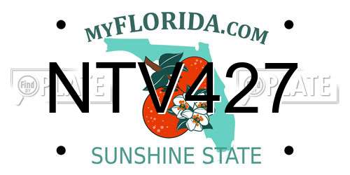 NTV427 Florida License Plate