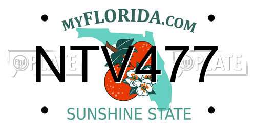 NTV477 Florida License Plate