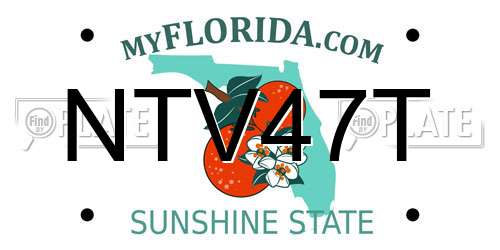 NTV47T Florida License Plate