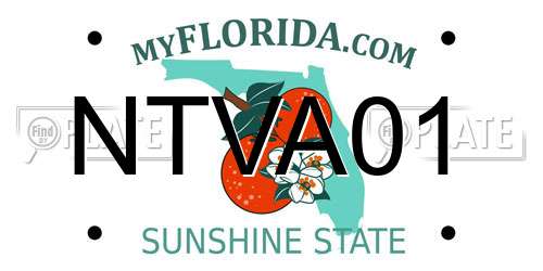 NTVA01 Florida License Plate