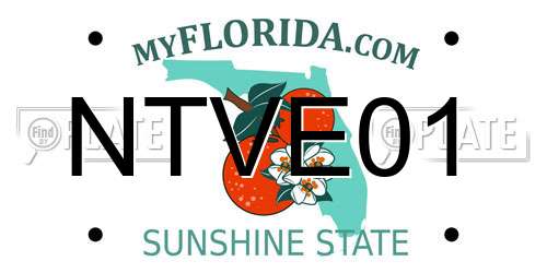 NTVE01 Florida License Plate