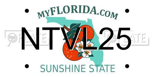 NTVL25 Florida License Plate