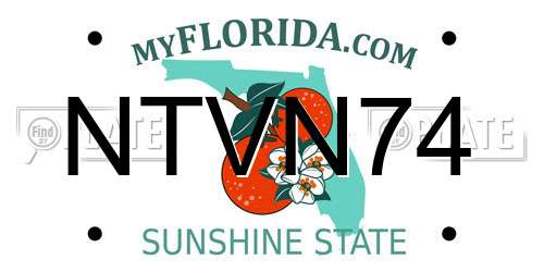 NTVN74 Florida License Plate