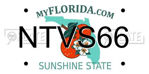 NTVS66 Florida License Plate