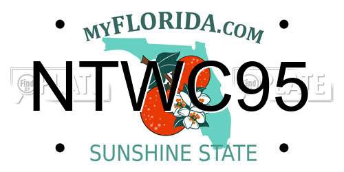 NTWC95 Florida License Plate