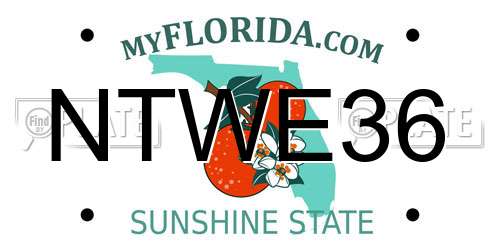 NTWE36 Florida License Plate