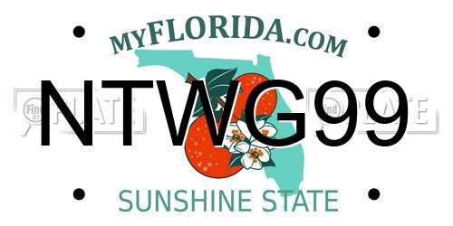 NTWG99 Florida License Plate