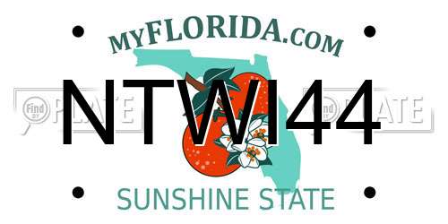 NTWI44 Florida License Plate