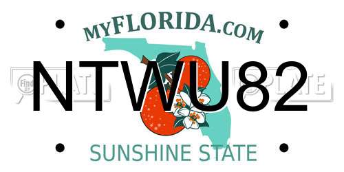 NTWU82 Florida License Plate