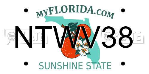 NTWV38 Florida License Plate