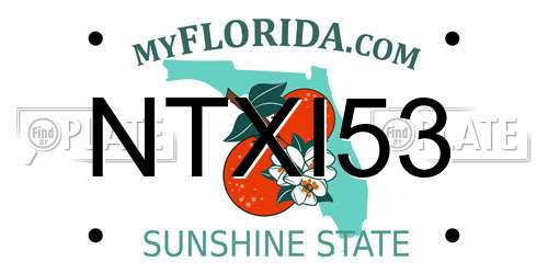 NTXI53 Florida License Plate