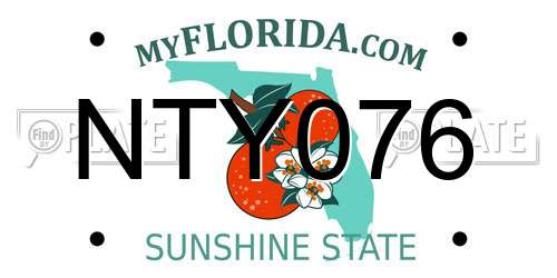 NTY076 Florida License Plate