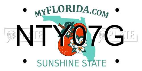 NTY07G Florida License Plate